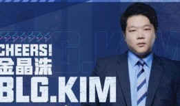 韩国爆料金晶洙视频,真相与争议交织